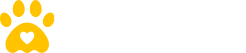 My Blog