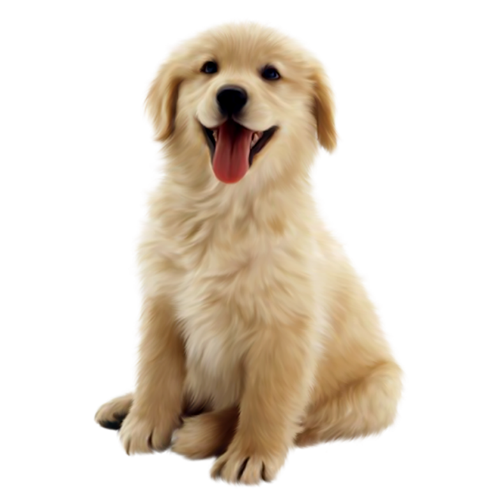 Dogs